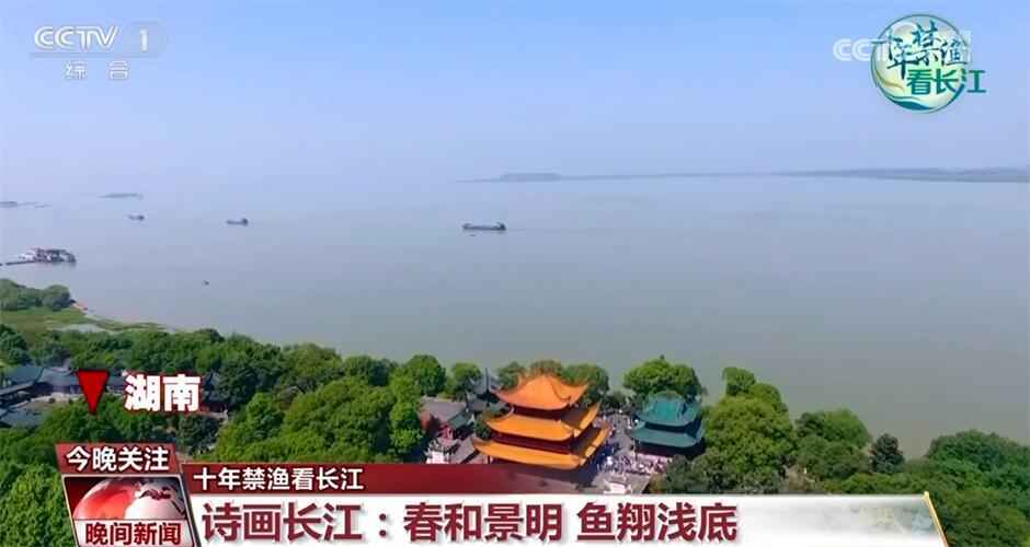 十年禁渔看长江｜从水域之治转向生态之治 长江大保护仍需久久为功