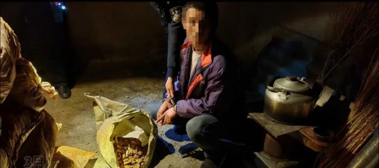 延安警方:盗掘“龙骨”3.5吨!4人刑拘! 延安警方:盗掘“龙骨”3.5吨!4人刑拘!