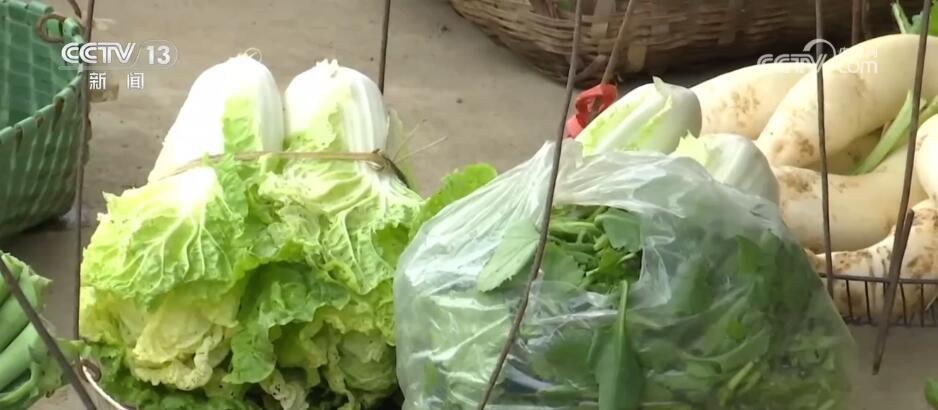 小小菜摊传递诚信与善良 温暖平凡你我