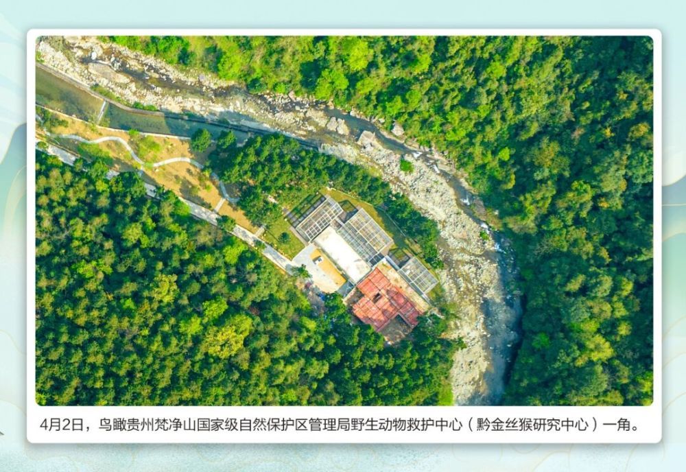 萌翻了！ 快来为这位“小公举”取名