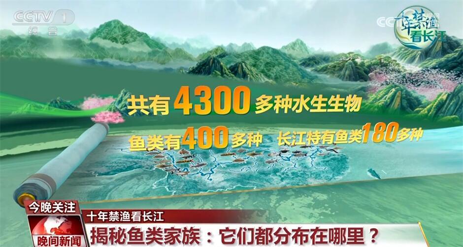 十年禁渔看长江｜从水域之治转向生态之治 长江大保护仍需久久为功