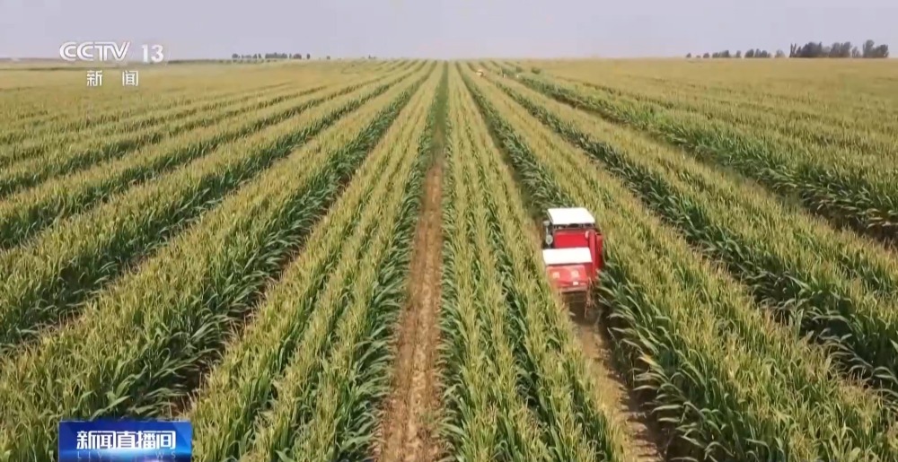 新一轮千亿斤粮食产能提升行动方案“新”在哪？专家解读