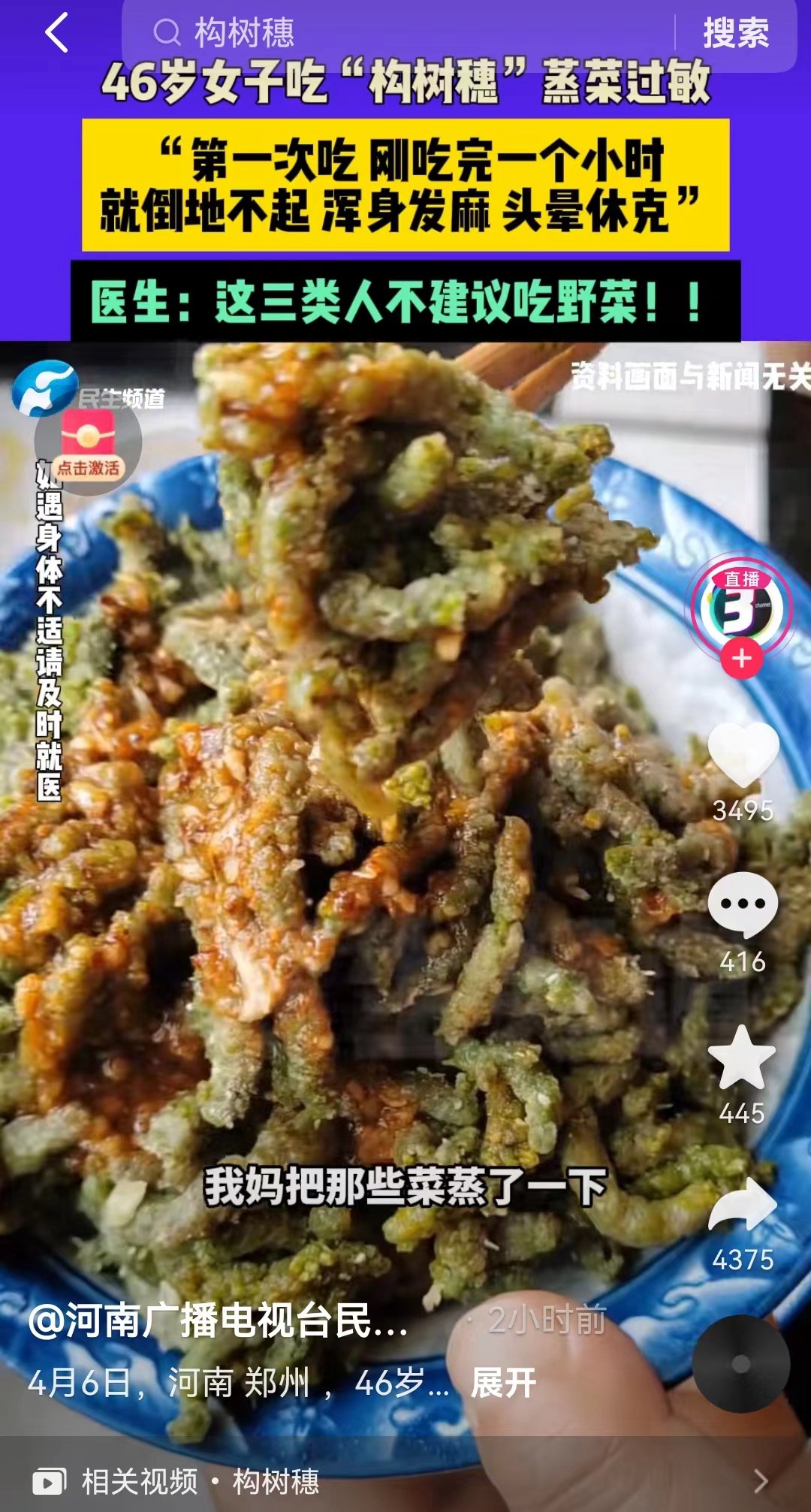 多人送医!河南人爱吃的这种野菜,这类人吃了“要命” 多人送医!河南人爱吃的这种野菜,这类人吃了“要命”