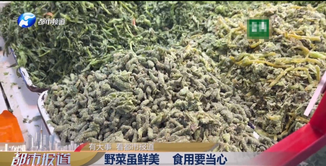 多人送医!河南人爱吃的这种野菜,这类人吃了“要命” 多人送医!河南人爱吃的这种野菜,这类人吃了“要命”