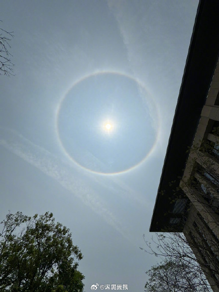 你见过吗？深圳绝美日晕让人惊叹
