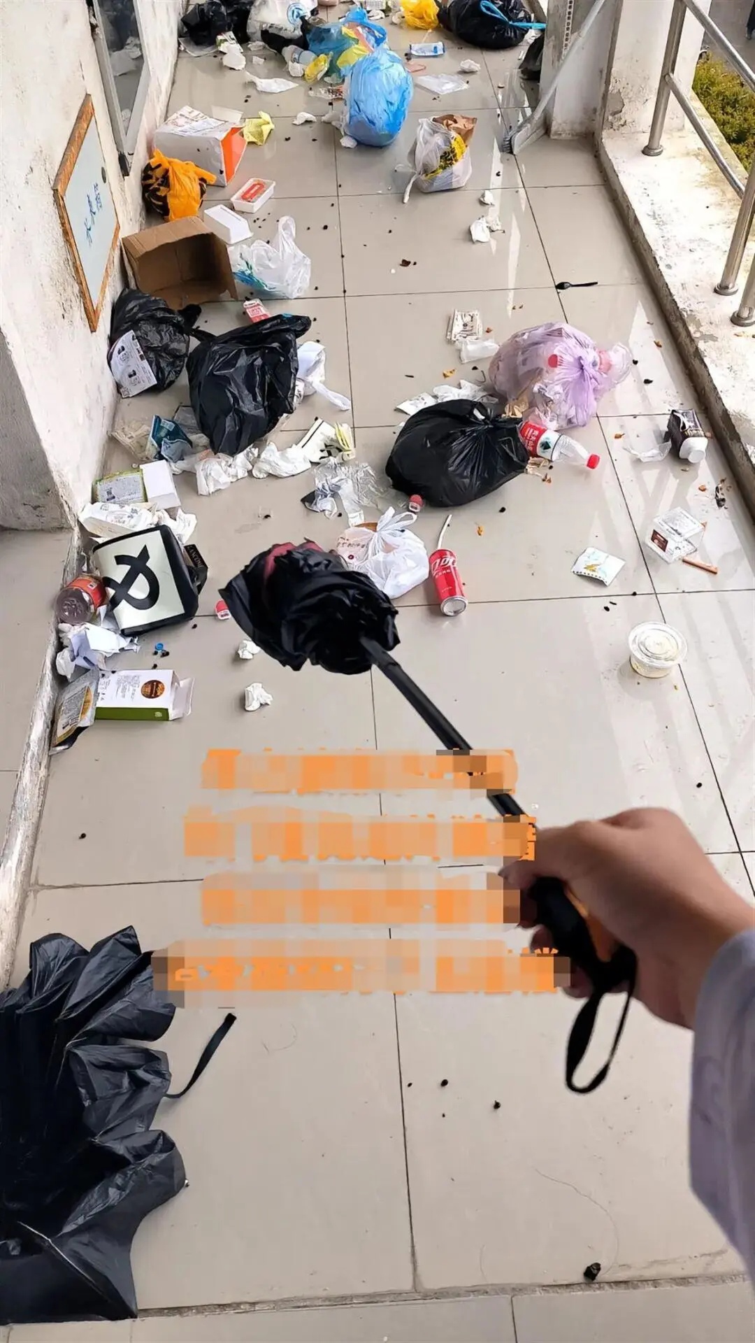 野猴成群入侵高校女生宿舍！校方回应