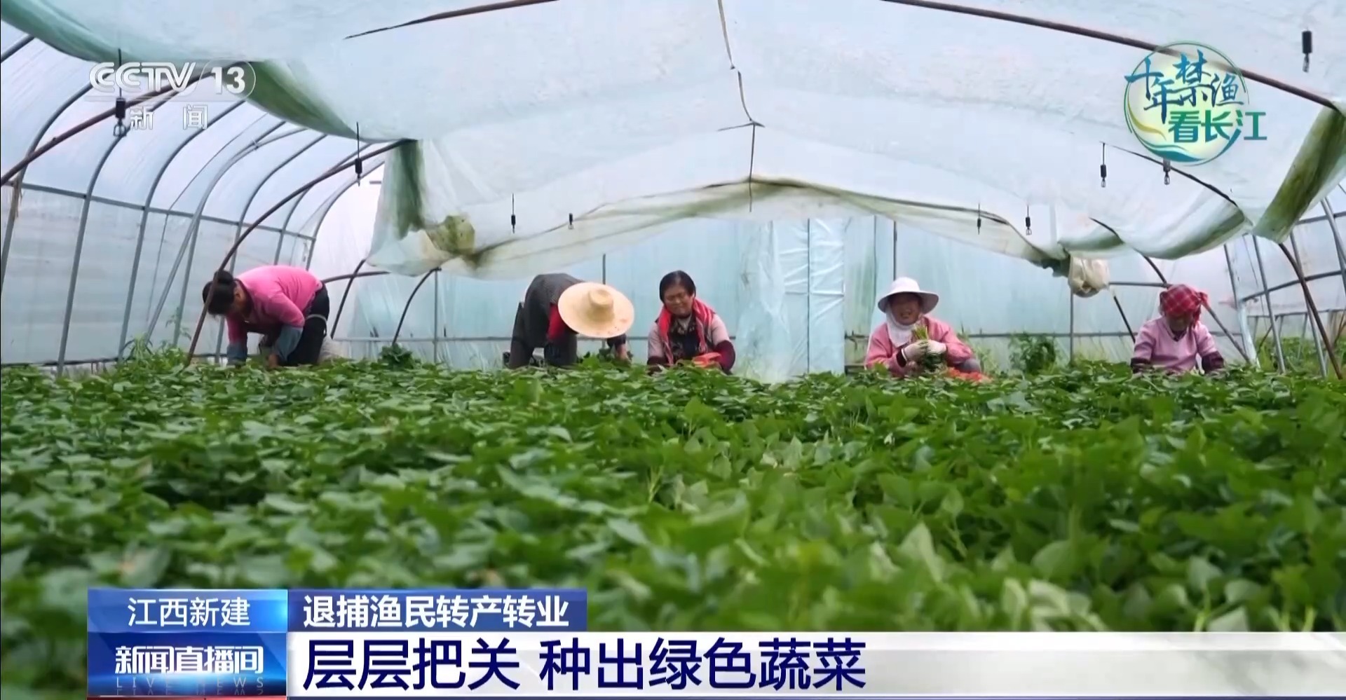 禁渔三年多 退捕渔民生产生活闯出了哪些“新路子”？