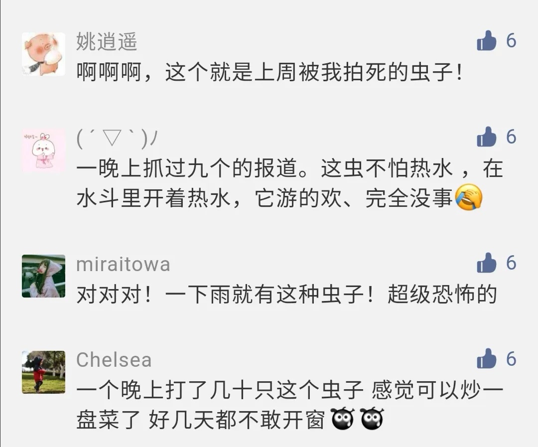 头皮发麻,别碰!一出现就是14颗?很多人衣服上都有…上海曾有过大爆发 头皮发麻,别碰!一出现就是14颗?很多人衣服上都有…上海曾有过大爆发