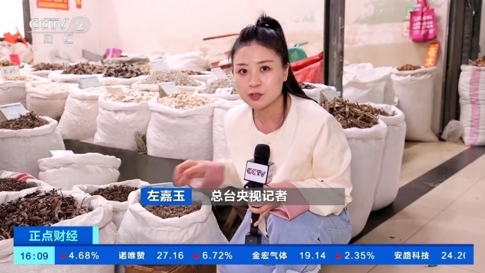 猫爪草价格涨超8倍！中药材价格持续走高，出口呈现增长趋势
