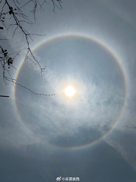 你见过吗？深圳绝美日晕让人惊叹