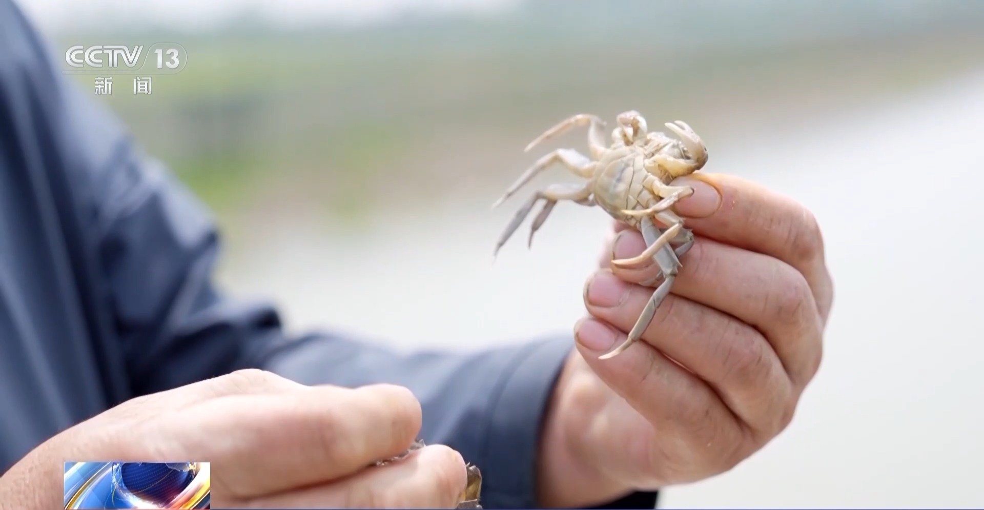 禁渔三年多 退捕渔民生产生活闯出了哪些“新路子”？