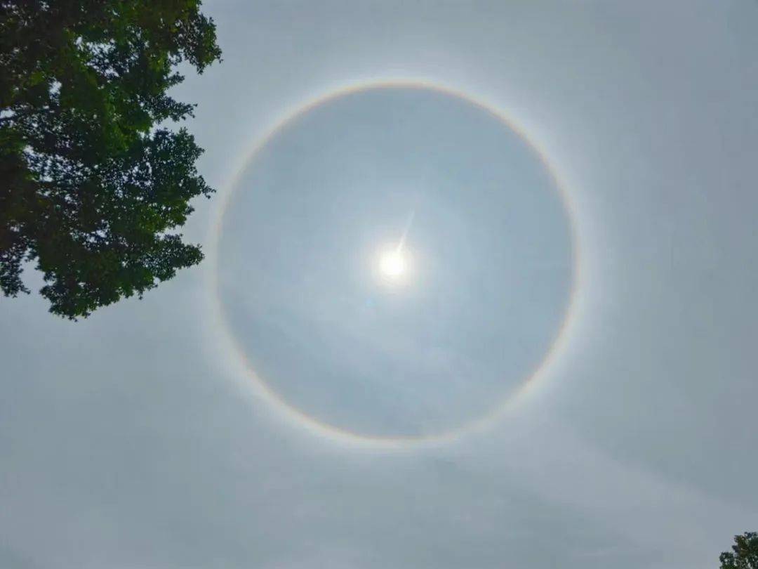 太阳“自带光环”！广东多地天空惊现美景