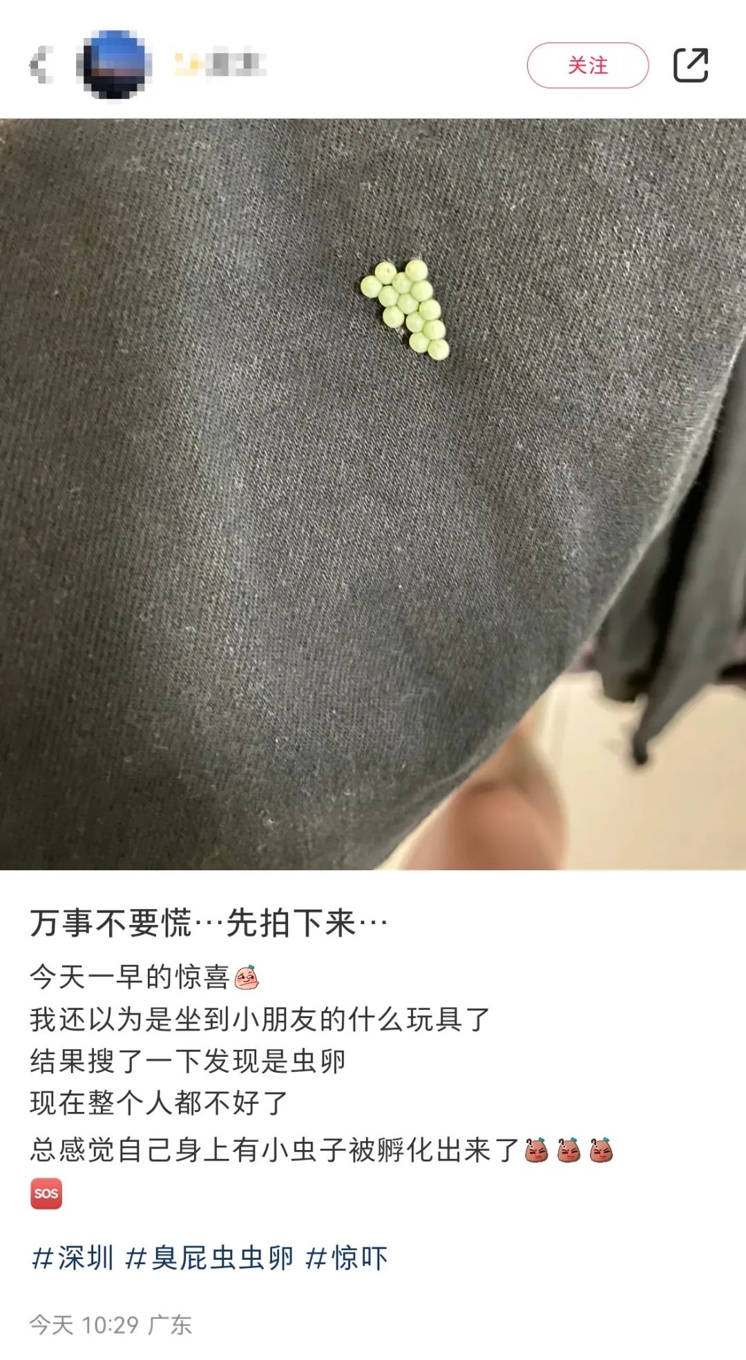 头皮发麻,别碰!一出现就是14颗?很多人衣服上都有…上海曾有过大爆发 头皮发麻,别碰!一出现就是14颗?很多人衣服上都有…上海曾有过大爆发