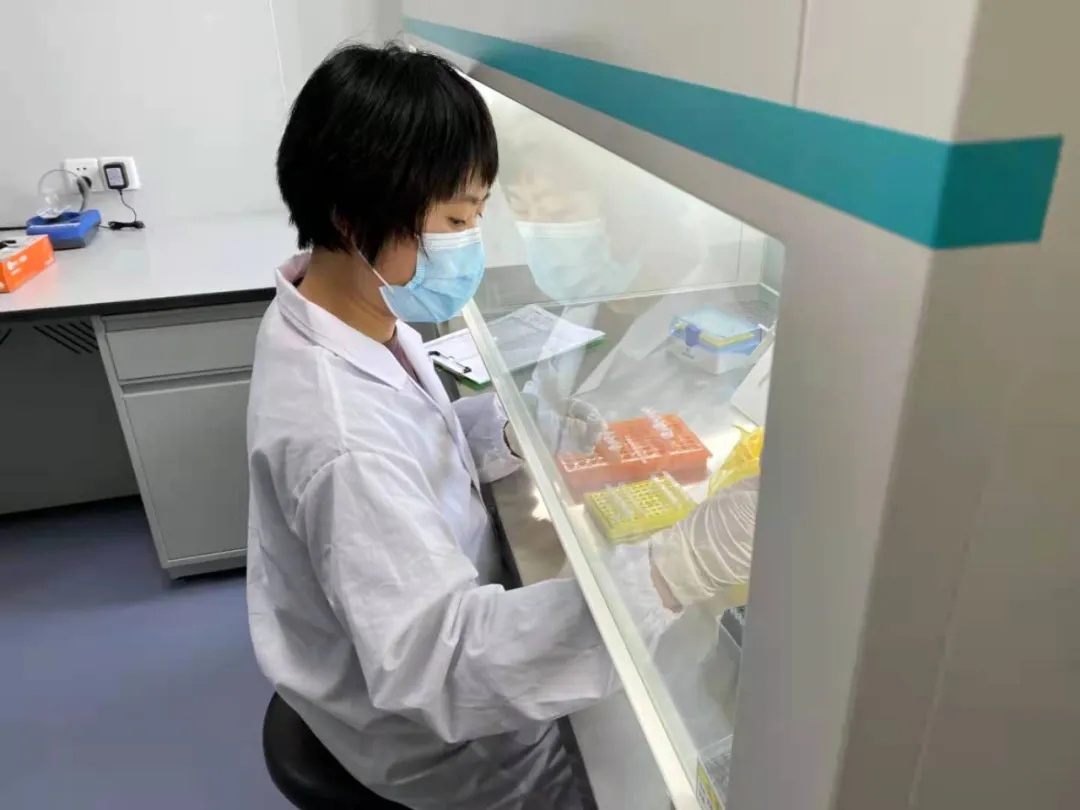 追踪小树林里吃剩的炒饼丝，9名犯罪嫌疑人全部到案！