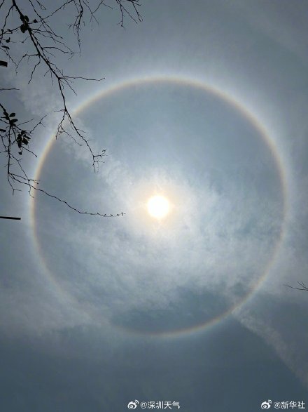 深圳天空现绝美日晕
