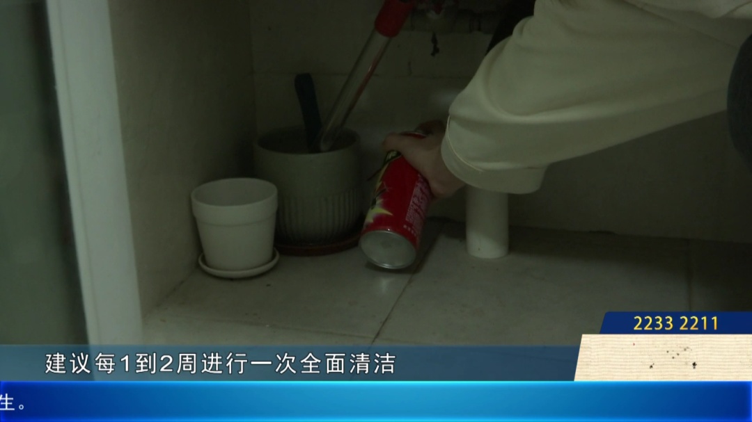 麻了！难道是“广东特产”？佛山已有人崩溃：家里太多了……碰上了会红肿！
