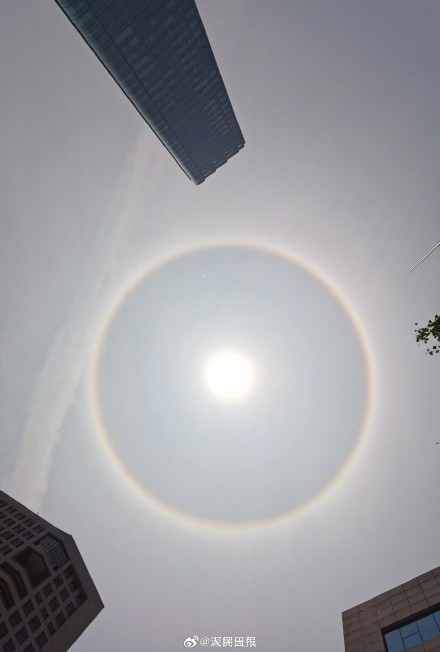 你见过吗？深圳绝美日晕让人惊叹
