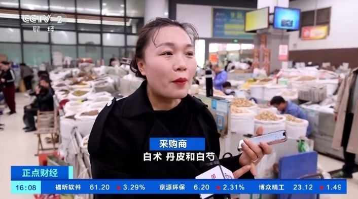 猫爪草价格涨超8倍！中药材价格持续走高，出口呈现增长趋势
