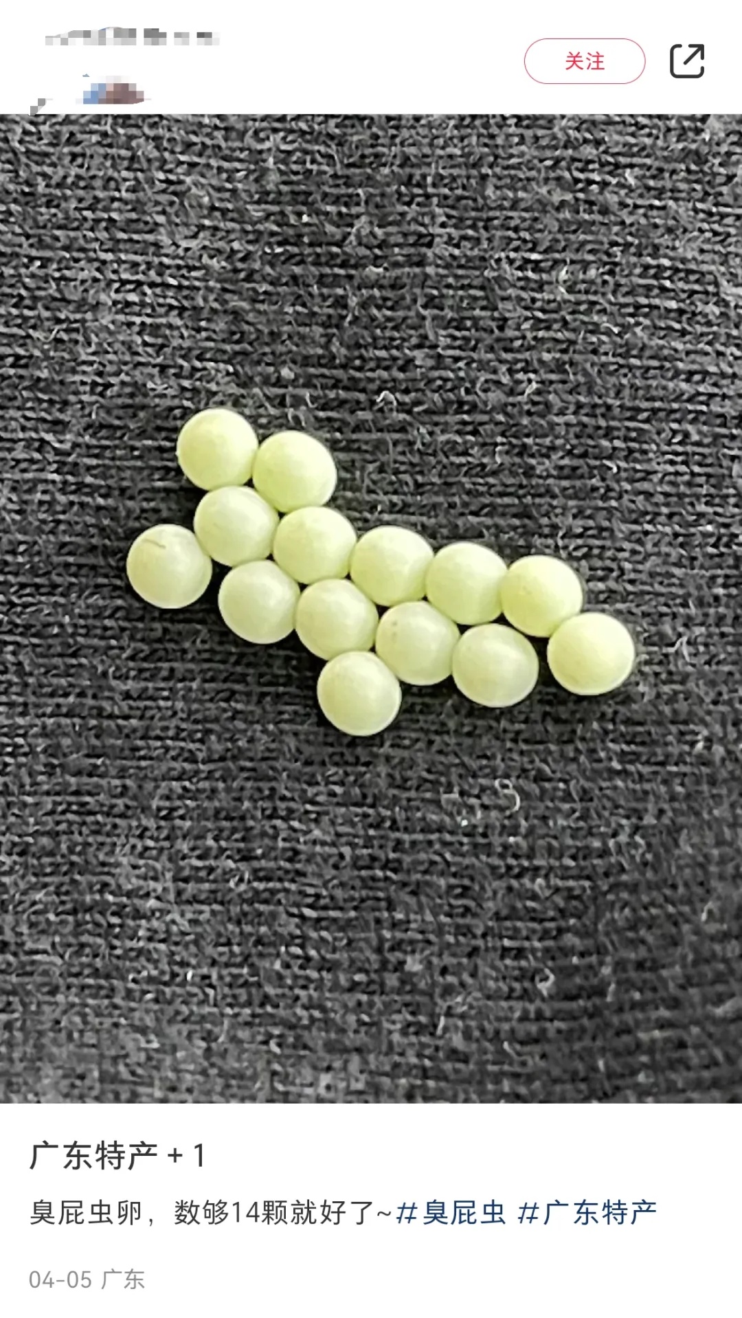 头皮发麻,别碰!一出现就是14颗?很多人衣服上都有…上海曾有过大爆发 头皮发麻,别碰!一出现就是14颗?很多人衣服上都有…上海曾有过大爆发