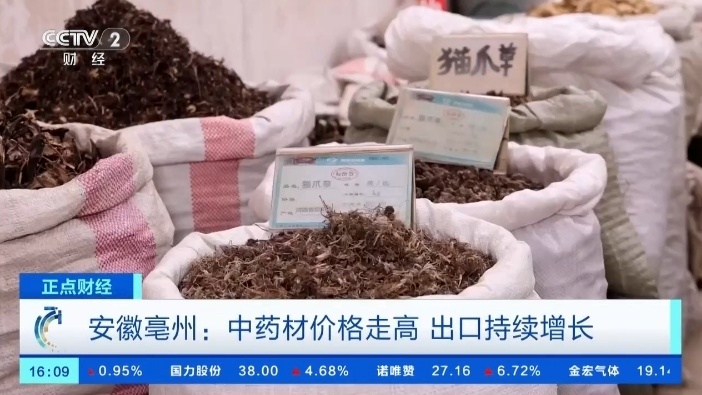 猫爪草价格涨超8倍！中药材价格持续走高，出口呈现增长趋势