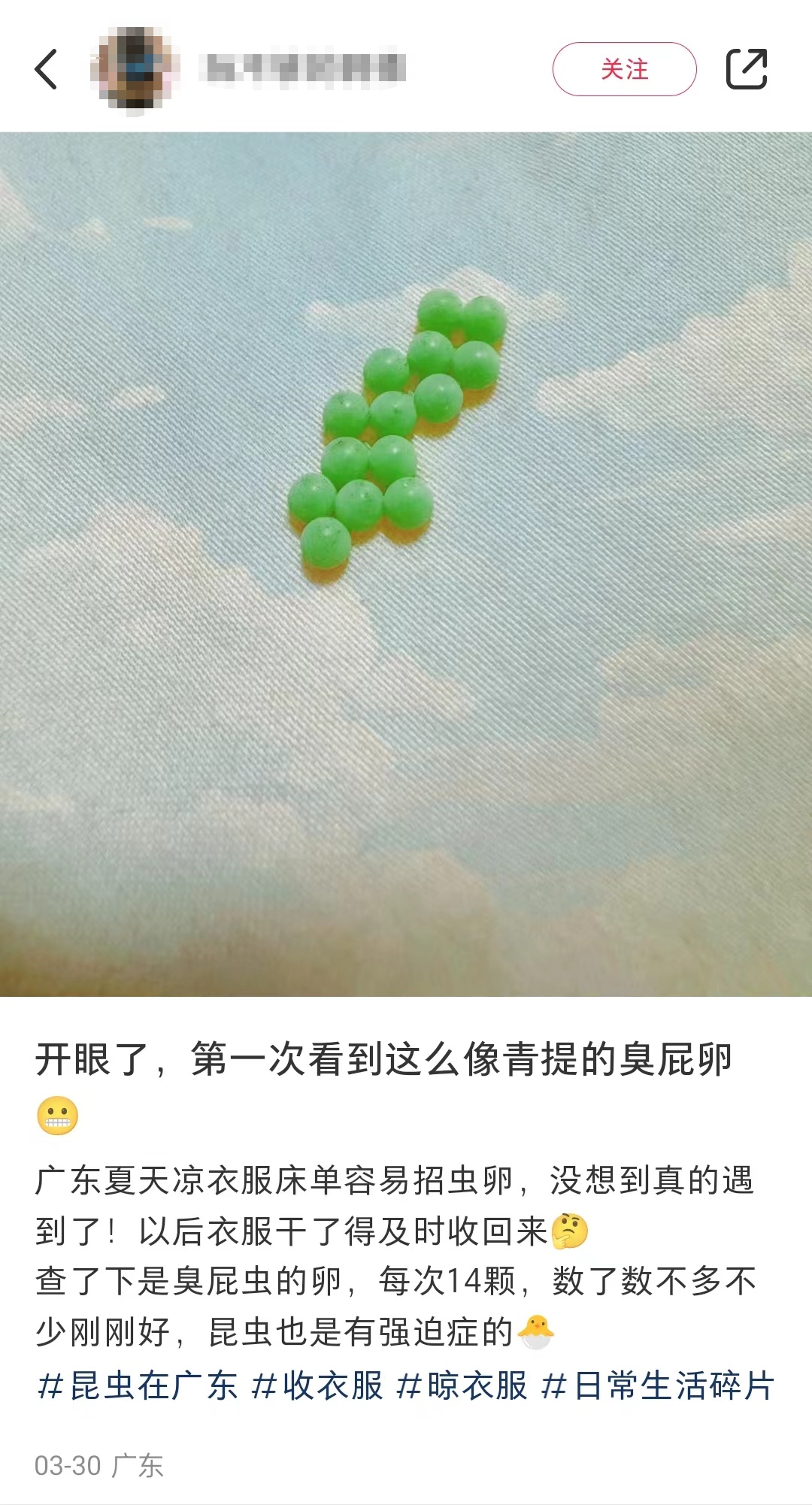 头皮发麻,别碰!一出现就是14颗?很多人衣服上都有… 头皮发麻,别碰!一出现就是14颗?很多人衣服上都有…