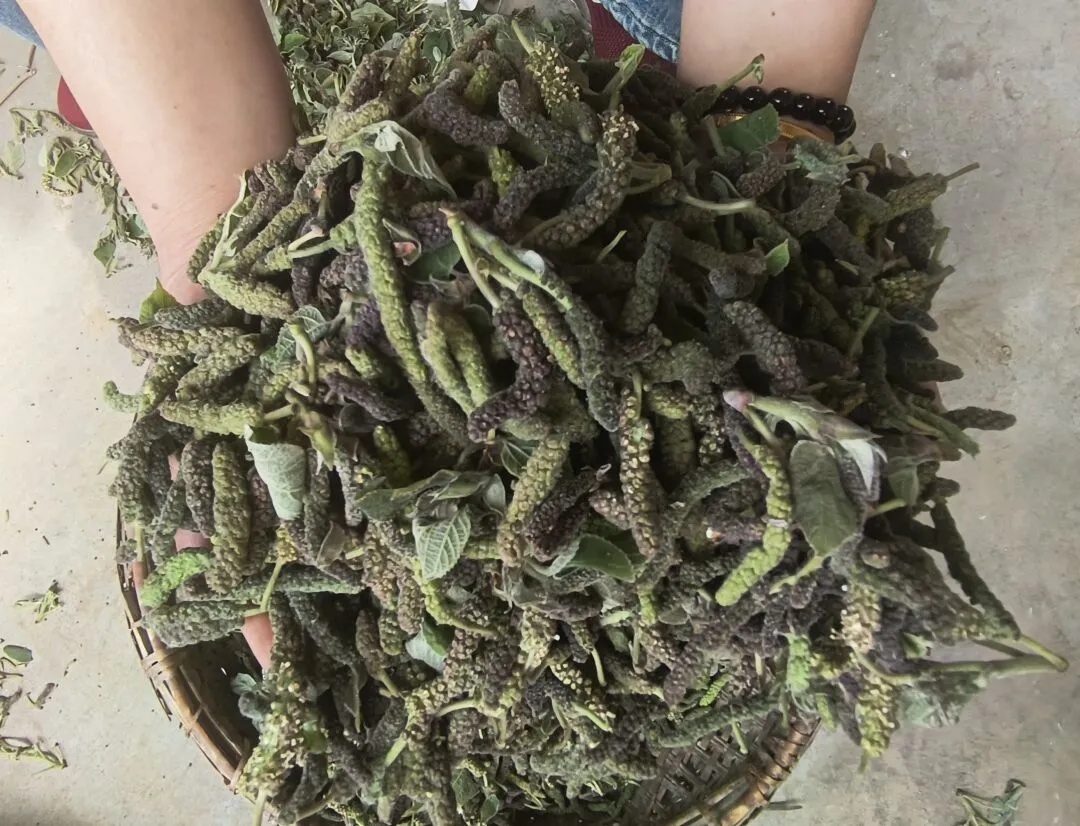 多人送医!河南人爱吃的这种野菜,这类人吃了“要命” 多人送医!河南人爱吃的这种野菜,这类人吃了“要命”