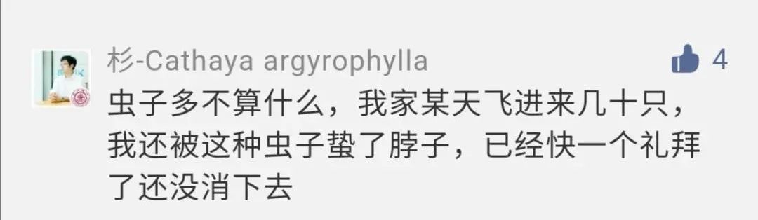 头皮发麻,别碰!一出现就是14颗?很多人衣服上都有…上海曾有过大爆发 头皮发麻,别碰!一出现就是14颗?很多人衣服上都有…上海曾有过大爆发