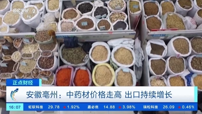 猫爪草价格涨超8倍！中药材价格持续走高，出口呈现增长趋势
