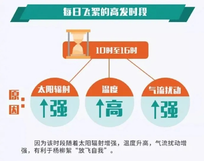 29℃！河北开启升温模式！后天雨又来……