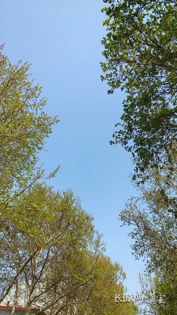 29℃！河北开启升温模式！后天雨又来……