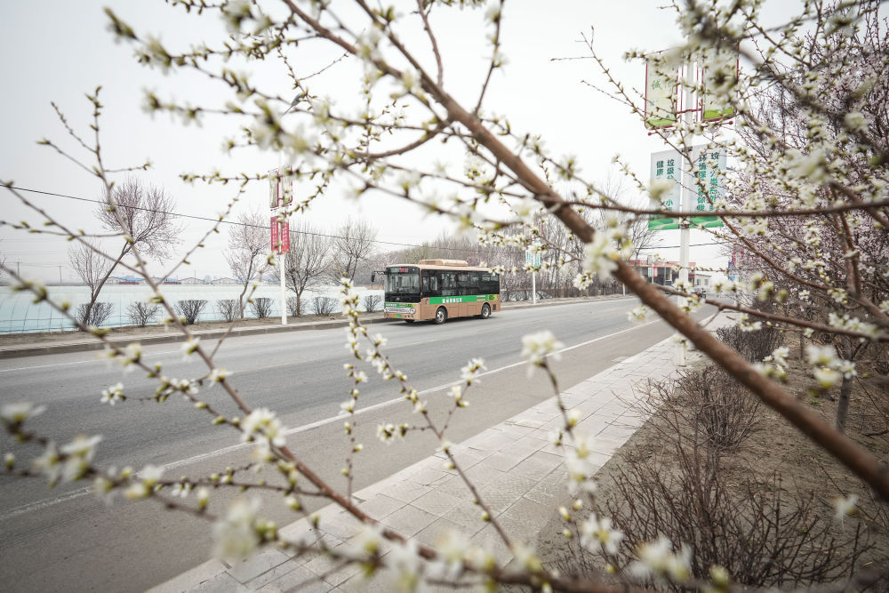 新华全媒+丨村里有了“网约公交车” 新华全媒+丨村里有了“网约公交车”