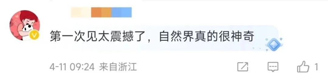 壮美鸟浪！辽宁多地天空出现奇观