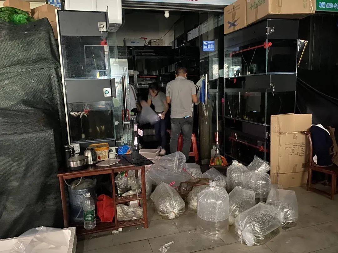 突发火灾，芳村花鸟鱼虫新世界怎样了？记者直击→