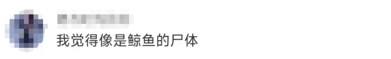 不明生物尸体被冲上马来海滩,官方正进行DNA鉴定 不明生物尸体被冲上马来海滩,官方正进行DNA鉴定