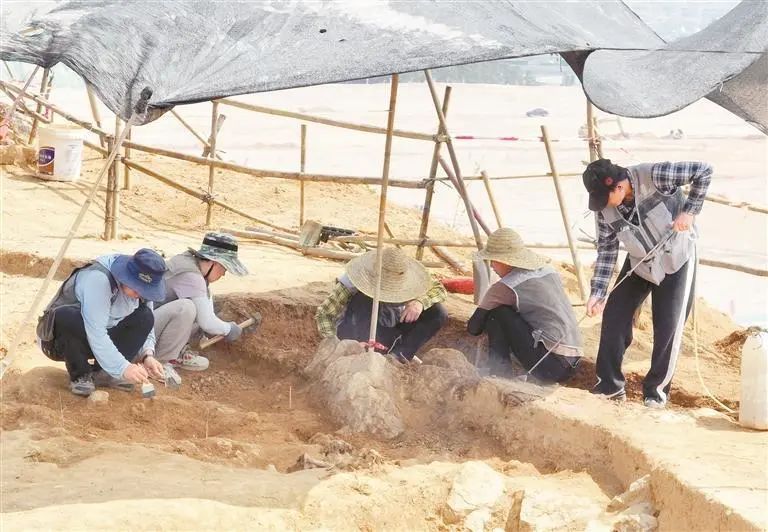 独家解密！深汕商周古墓开“盲盒”！文物+1+1+1......