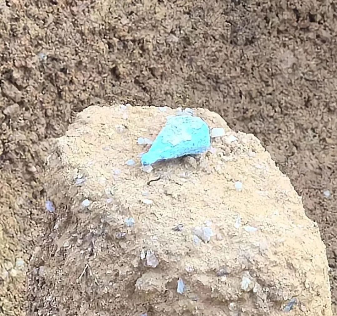 独家解密！深汕商周古墓开“盲盒”！文物+1+1+1......