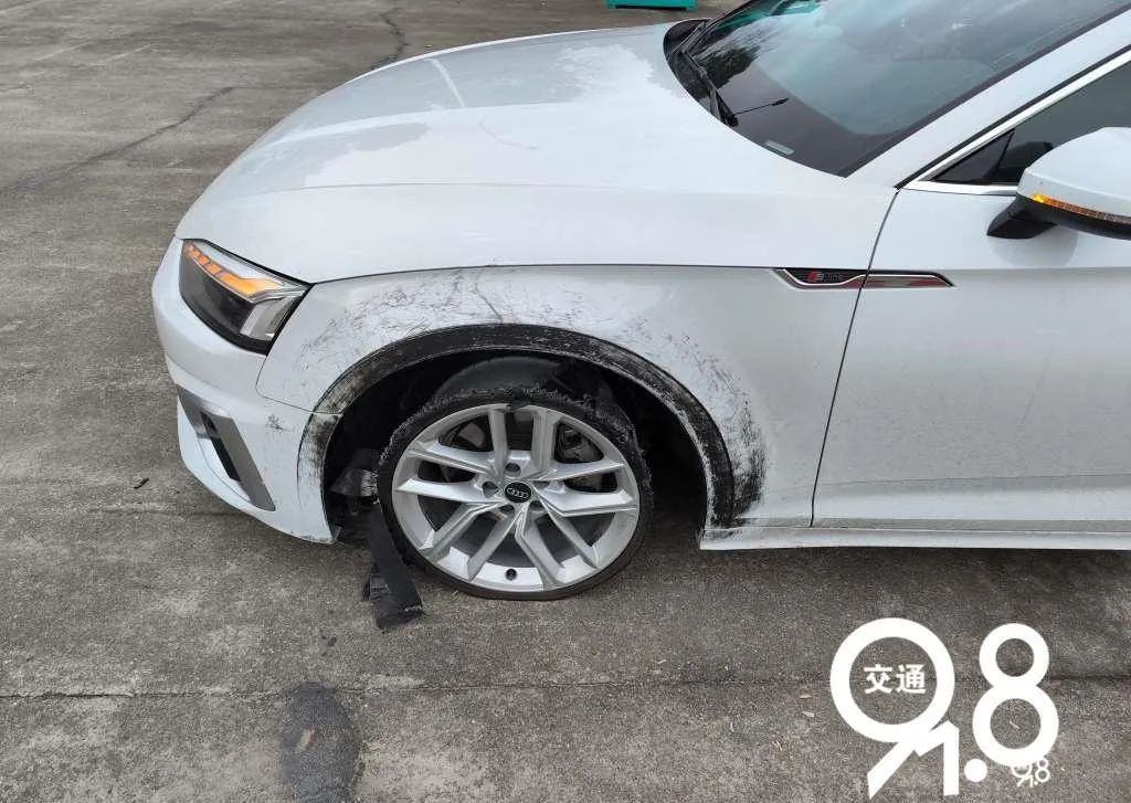 高速突发！司机吓一跳，原因太奇葩...开车时这些要注意！