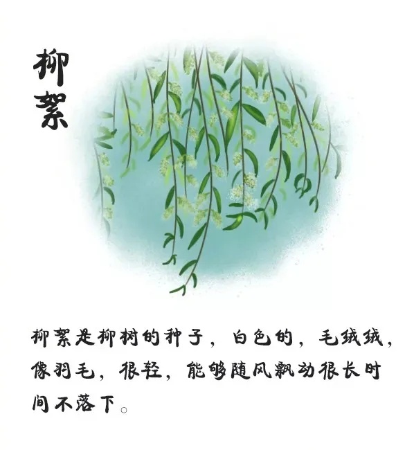 29℃！河北开启升温模式！后天雨又来……