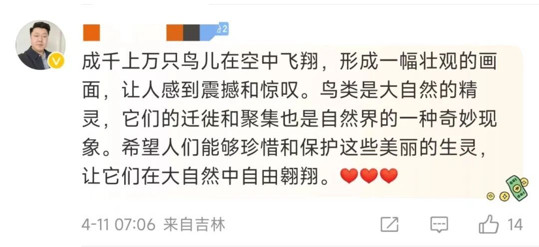 壮美鸟浪！辽宁多地天空出现奇观