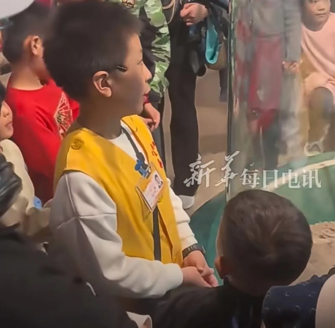 甘肃省博“满级小讲解员”,找到了! 甘肃省博“满级小讲解员”,找到了!