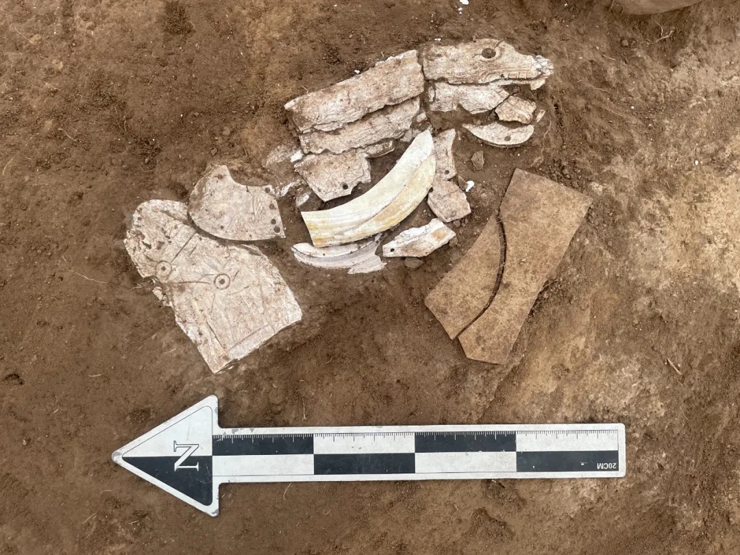 成功复原!距今6300年左右! 成功复原!距今6300年左右!