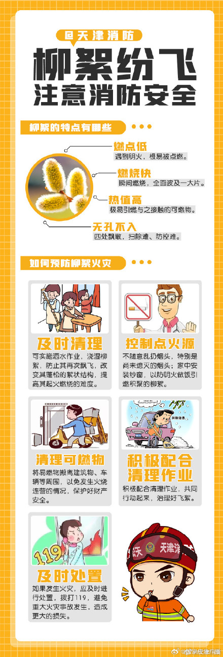 小小杨柳飞絮究竟有多危险