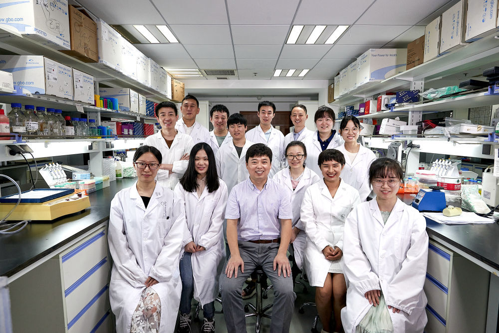 雄激素为何那么能干?科学家解析雄激素调控性别差异的分子细胞基础 雄激素为何那么能干?科学家解析雄激素调控性别差异的分子细胞基础