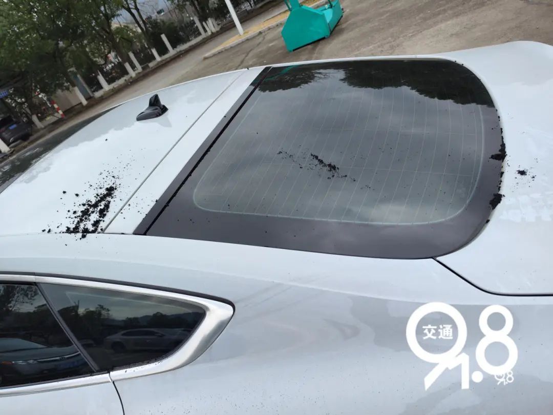 杭州高速突发!女司机吓一跳,原因太奇葩... 杭州高速突发!女司机吓一跳,原因太奇葩...