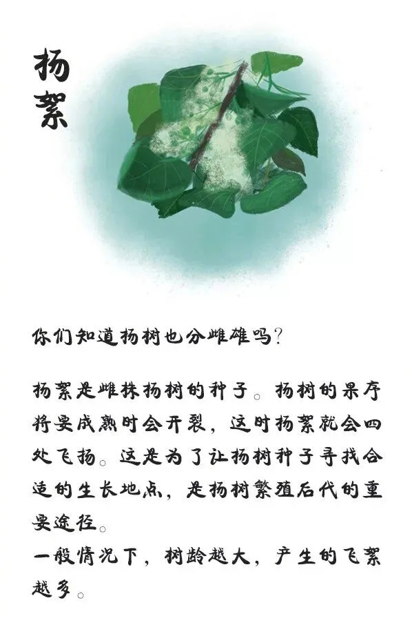 29℃！河北开启升温模式！后天雨又来……