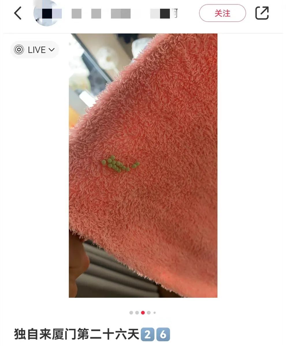 一见到就是14颗？别碰！很臭！福建已出现！