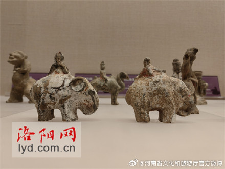 新增50余件文物！洛阳考古博物馆重新开馆