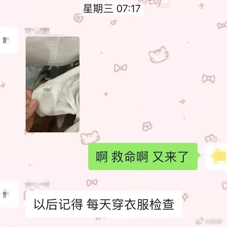 小心了！很多人家中突然大量出现……