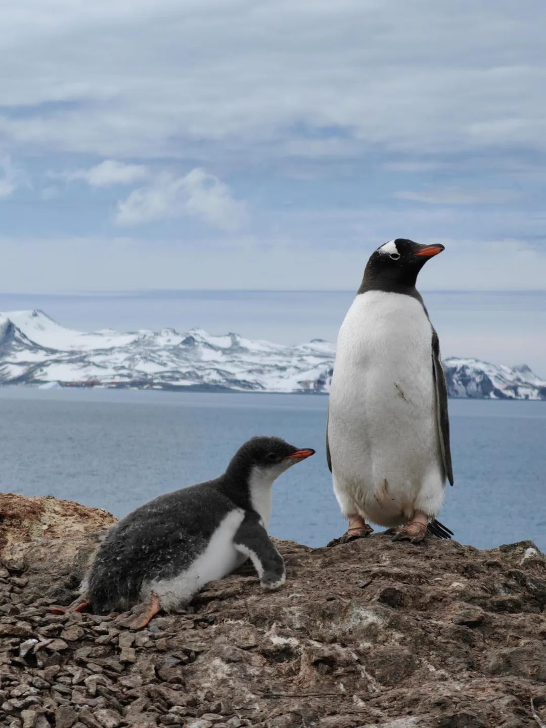 中国科大的他们在南极“出差”,是啥体验? 中国科大的他们在南极“出差”,是啥体验?