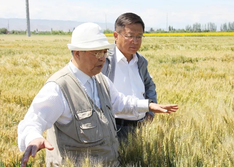 送别程顺和院士！他把一生献给了小麦研究